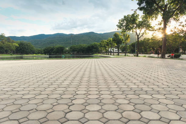 Best Professional Driveway Pavers  in Decatur, IL